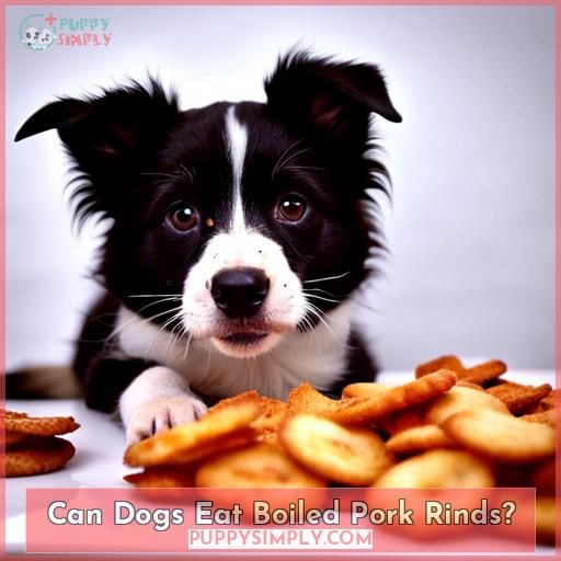 Can Dogs Eat Boiled Pork Rinds