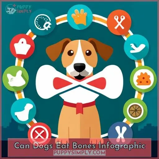 Can Dogs Eat Bones Infographic
