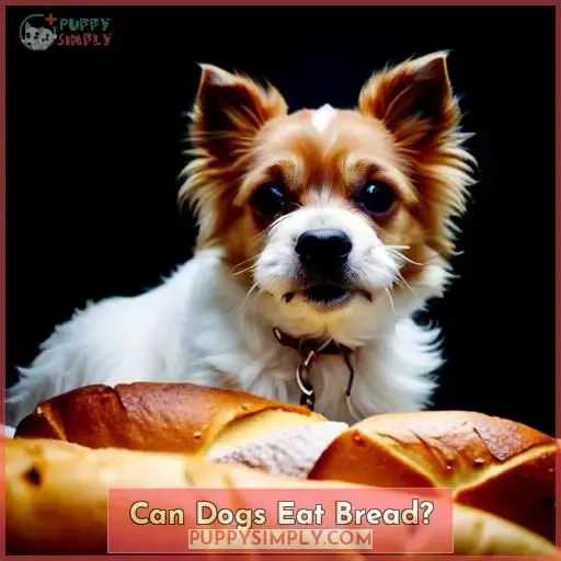 Can Dogs Eat Bread?