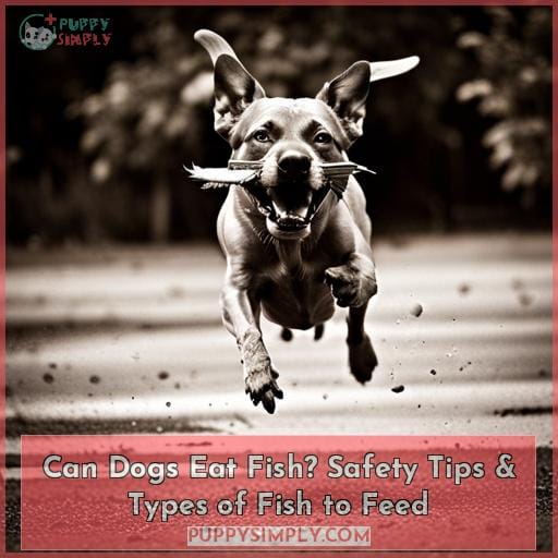 Can Dogs Eat Fish Safety Tips And Types Of Fish To Feed