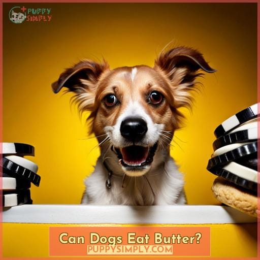 Can Dogs Eat Butter?