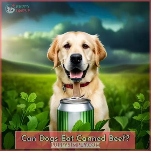 Can Dogs Eat Canned Beef?