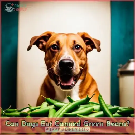 Can Dogs Eat Canned Green Beans