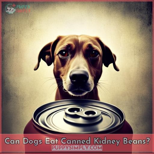 Can Dogs Eat Canned Kidney Beans? Can Dogs Eat Canned Kidney Beans?