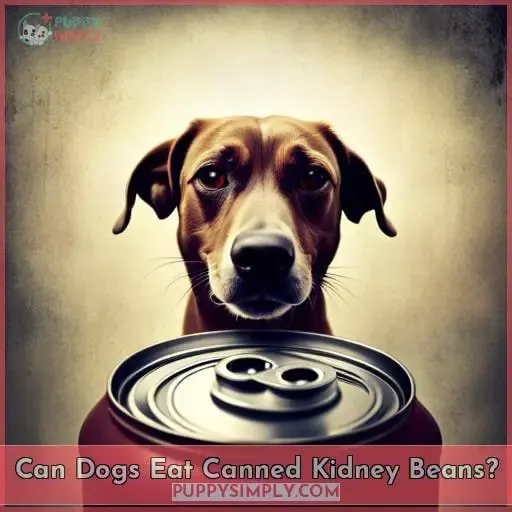 Can Dogs Eat Canned Kidney Beans?