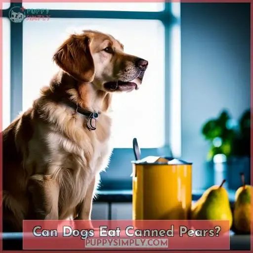 Can Dogs Eat Canned Pears