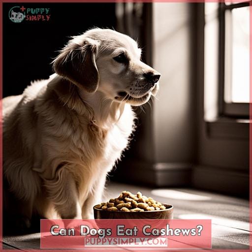Can Dogs Eat Cashews