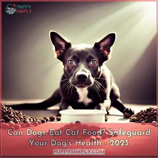 can dogs eat catfood