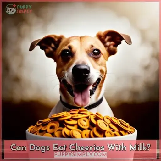 Can Dogs Eat Cheerios With Milk?