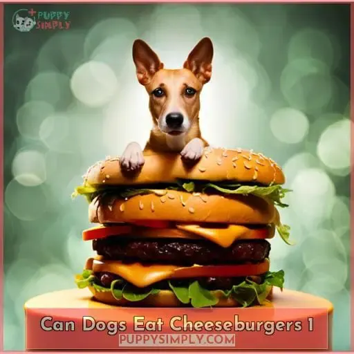 can dogs eat cheeseburgers 1