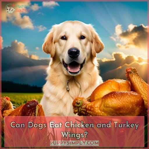 Can Dogs Eat Chicken and Turkey Wings?