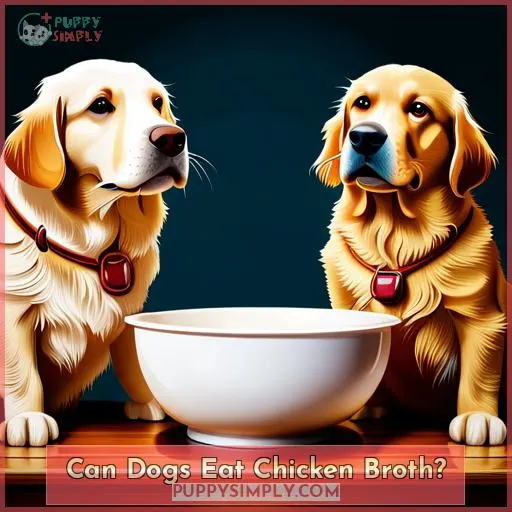 Can Dogs Eat Chicken Broth?