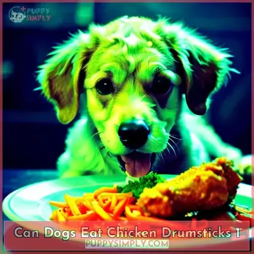 can dogs eat chicken drumsticks 1