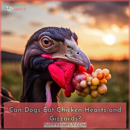 Can Dogs Eat Chicken Hearts and Gizzards?