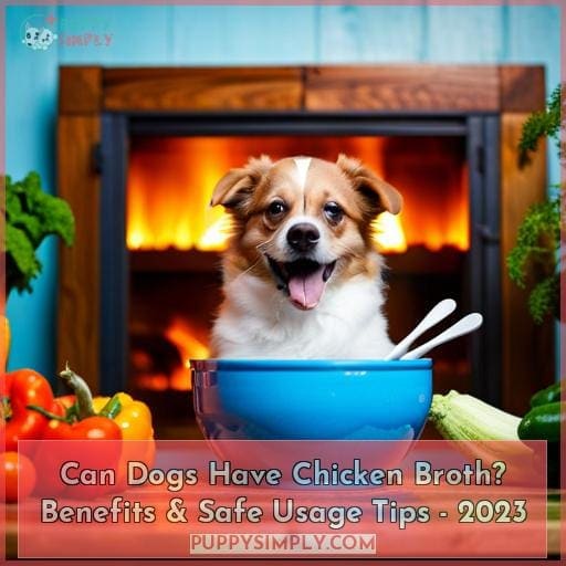 Can Dogs Eat Chicken Stock? The Surprising Benefits and Safety Tips