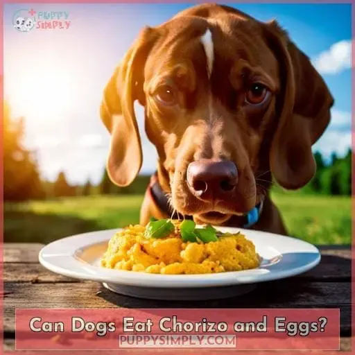 Can Dogs Eat Chorizo and Eggs?