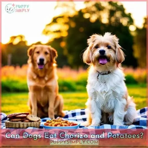 Can Dogs Eat Chorizo and Potatoes?