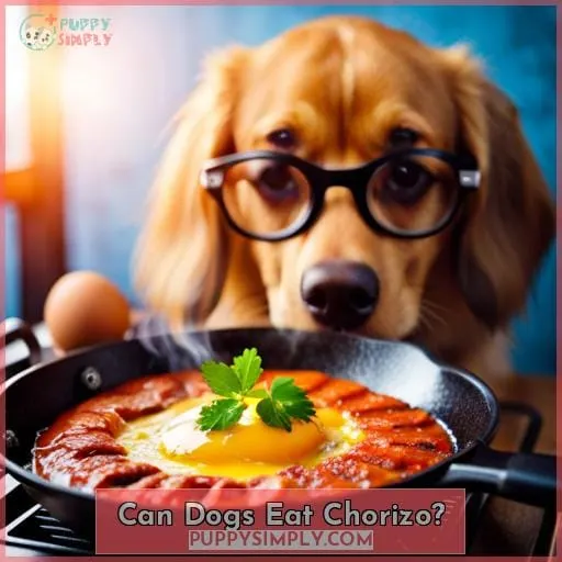 Can Dogs Eat Chorizo?