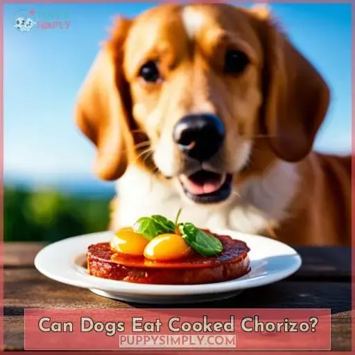 Can Dogs Eat Cooked Chorizo?