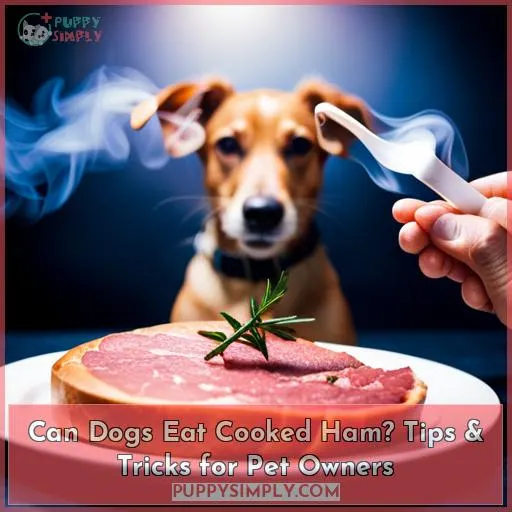 can dogs eat cooked ham