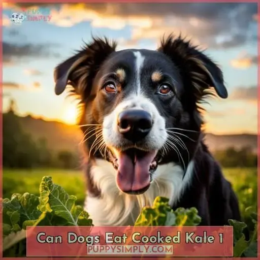can dogs eat cooked kale 1