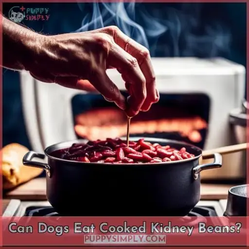 can dogs eat cooked kidney beans