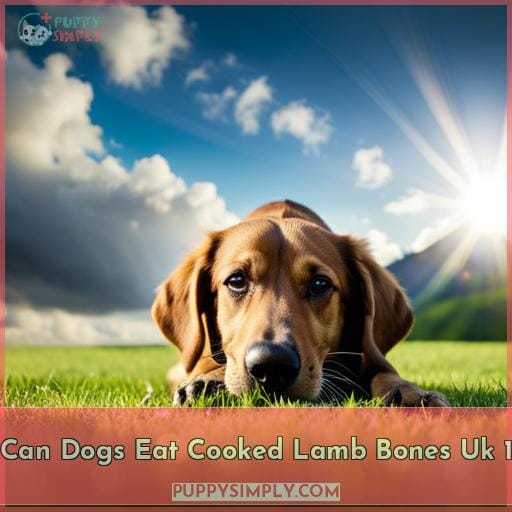 can dogs eat cooked lamb bones uk 1
