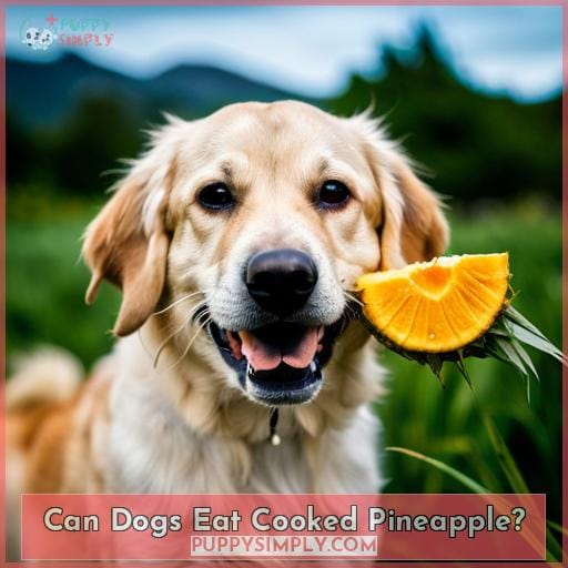 Can Dogs Eat Cooked Pineapple