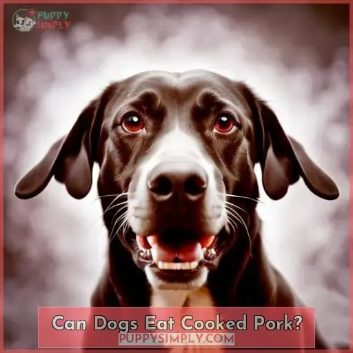 Can Dogs Eat Cooked Pork?