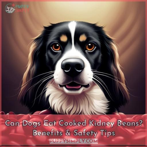 can-dogs-eat-cooked-kidney-beans-benefits-safety-tips