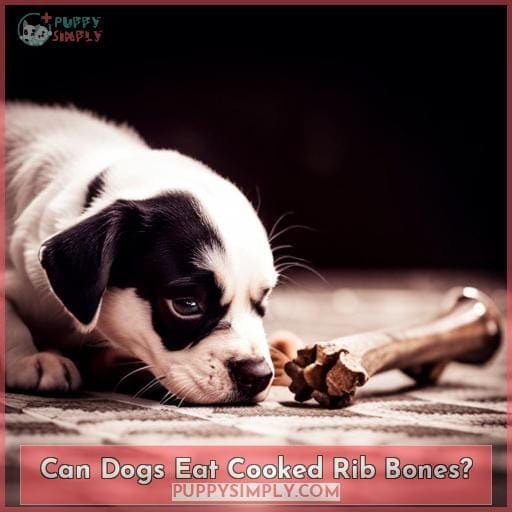 Can Dogs Eat Cooked Rib Bones?