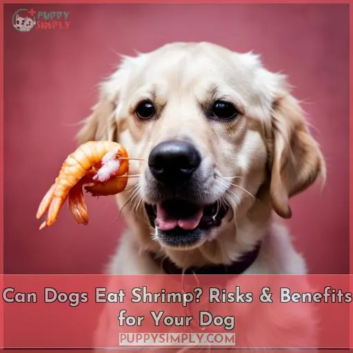 can dogs eat cooked shrimp tails
