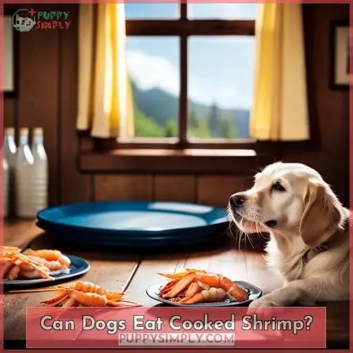 Can Dogs Eat Cooked Shrimp