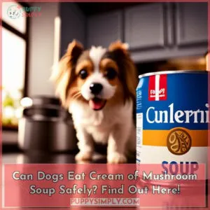 can dogs eat cream of mushroom soup