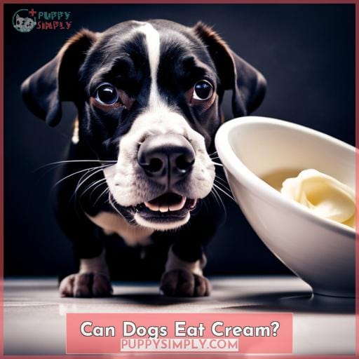 Can Dogs Eat Cream?