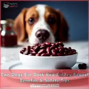 can dogs eat dark red kidney beans