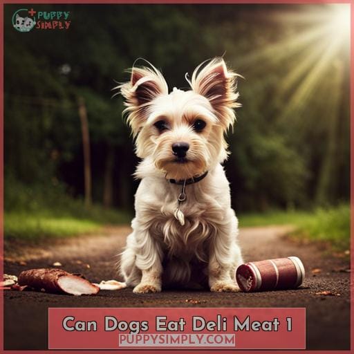 can-dogs-eat-deli-meat-know-the-risks-safe-ways-to-feed