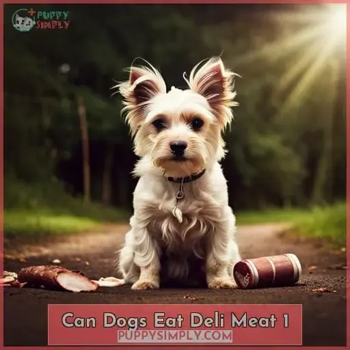 can dogs eat deli meat 1