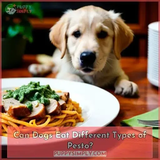 Can Dogs Eat Different Types of Pesto