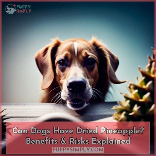 Can Dogs Have Dried Pineapple? Benefits & Risks Explained