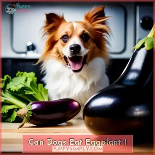can dogs eat eggplant 1