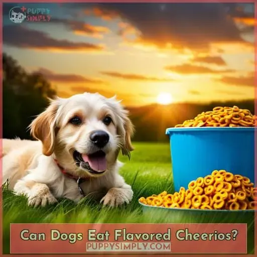 Can Dogs Eat Flavored Cheerios?