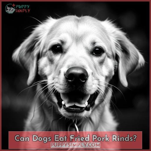 Can Dogs Eat Fried Pork Rinds