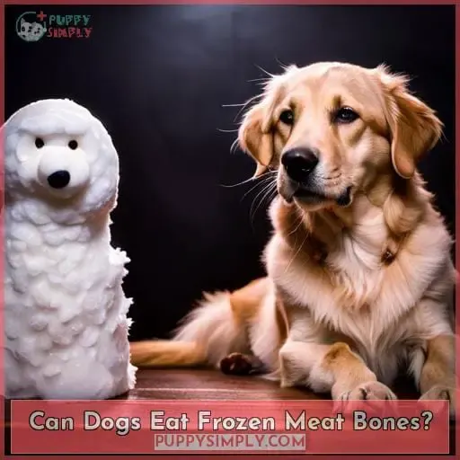 Can Dogs Eat Frozen Meat Bones