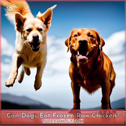Can Dogs Eat Frozen Raw Chicken