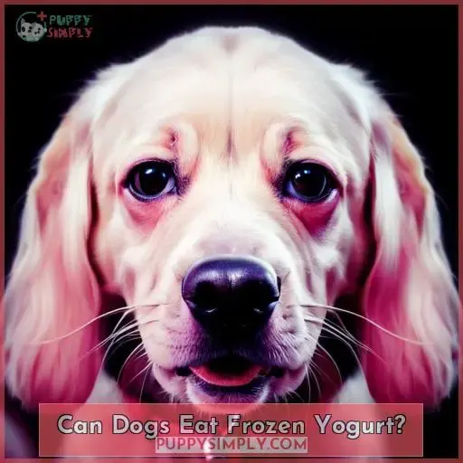 Can Dogs Eat Frozen Yogurt?