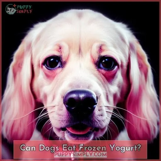Can Dogs Eat Frozen Yogurt