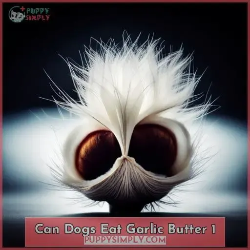 can dogs eat garlic butter 1
