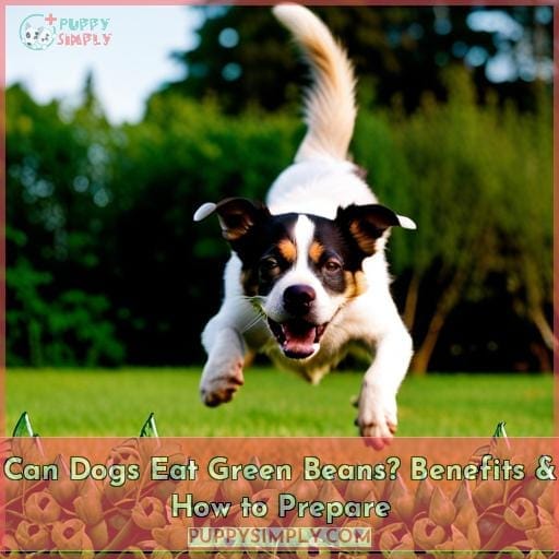 Can Dogs Eat Green Beans? Benefits & How to Prepare