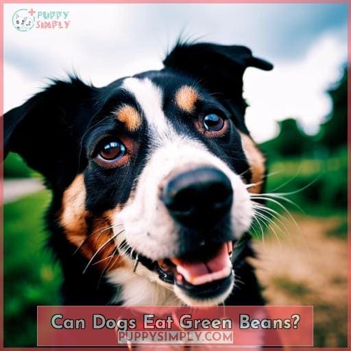 Can Dogs Eat Green Beans? Can Dogs Eat Green Beans?